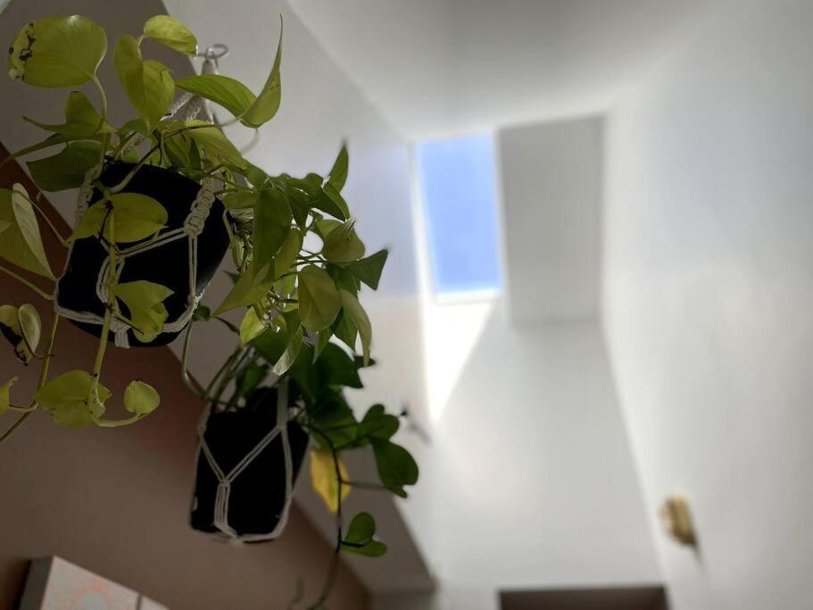 Everything You Could Ask For In A Rental Nashville Extérieur photo